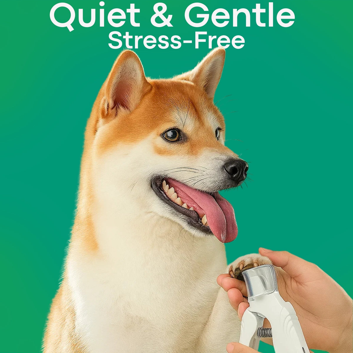 Coupe-griffes pour animaux à double éclairage LED