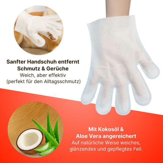 Felineau Mousse Shampooing Sans Rinçage - Soin Pelage Frais Express