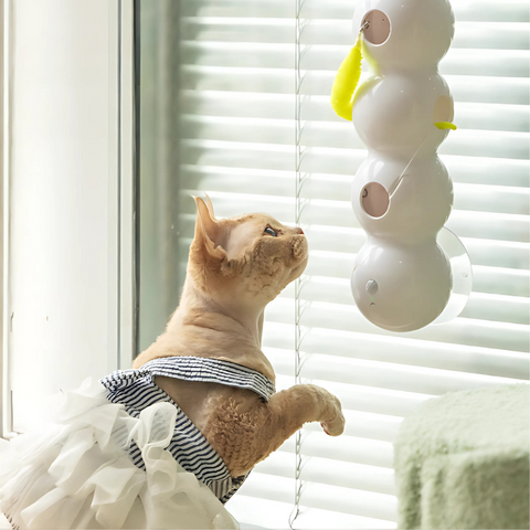 Felineau Jouet Interactif Automatique pour Chat avec Ventouse