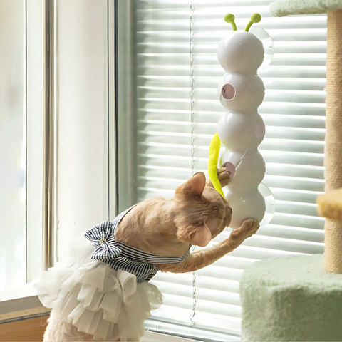 Felineau Jouet Interactif Automatique pour Chat avec Ventouse