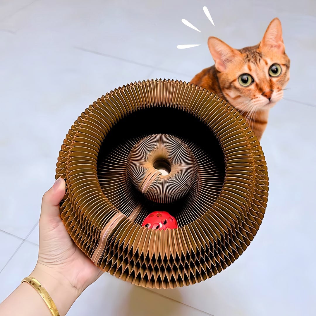 Felineau Griffoir Modulable pour Chat avec Piste à Balle