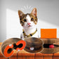 Felineau Griffoir Modulable pour Chat avec Piste à Balle