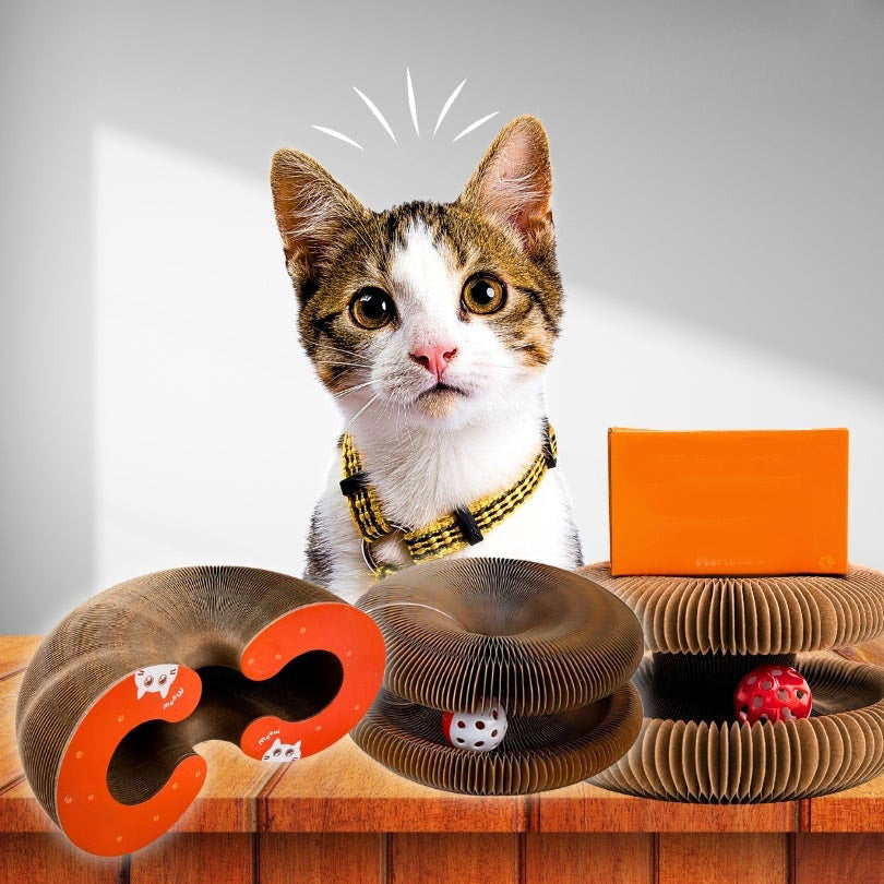 Felineau Griffoir Modulable pour Chat avec Piste à Balle