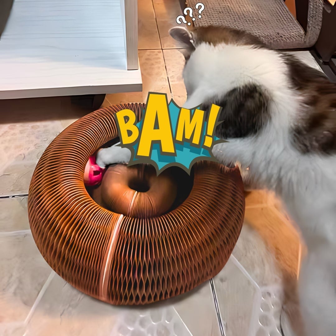Felineau Griffoir Modulable pour Chat avec Piste à Balle