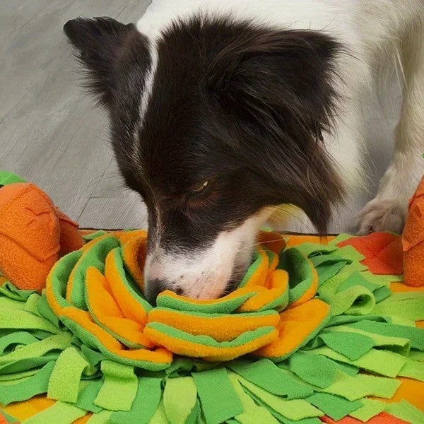 Felineau Tapis de Fouille Chien et Chat, Jouet Interactif Anti-Glouton en Polaire pour Friandises et
