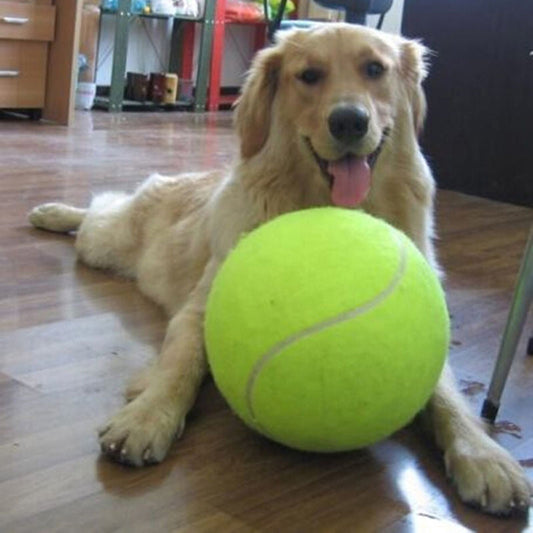 Felineau Balle de Tennis Géante XXL pour Chien — Diamètre 24 cm