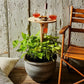 Table de pique-nique pliable en bois