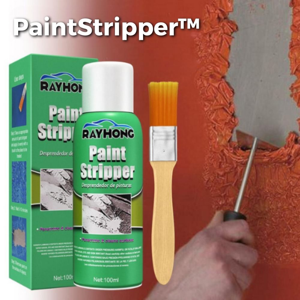 Lot de 2 décapants peinture de 100 ml avec pinceau