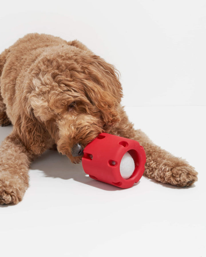 Jouet à mâcher avec balle de tennis pour chien