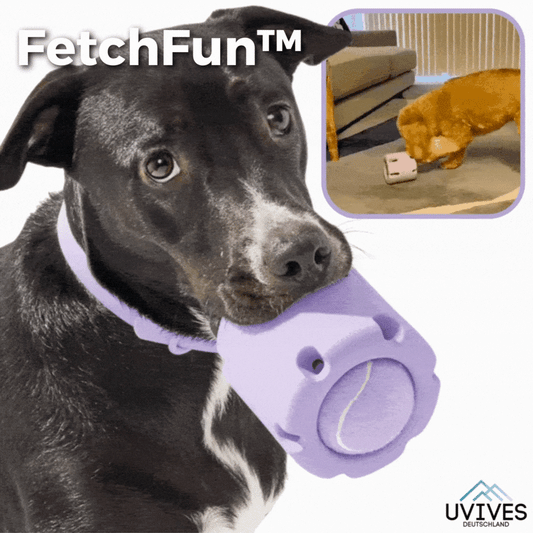 Jouet à mâcher avec balle de tennis pour chien
