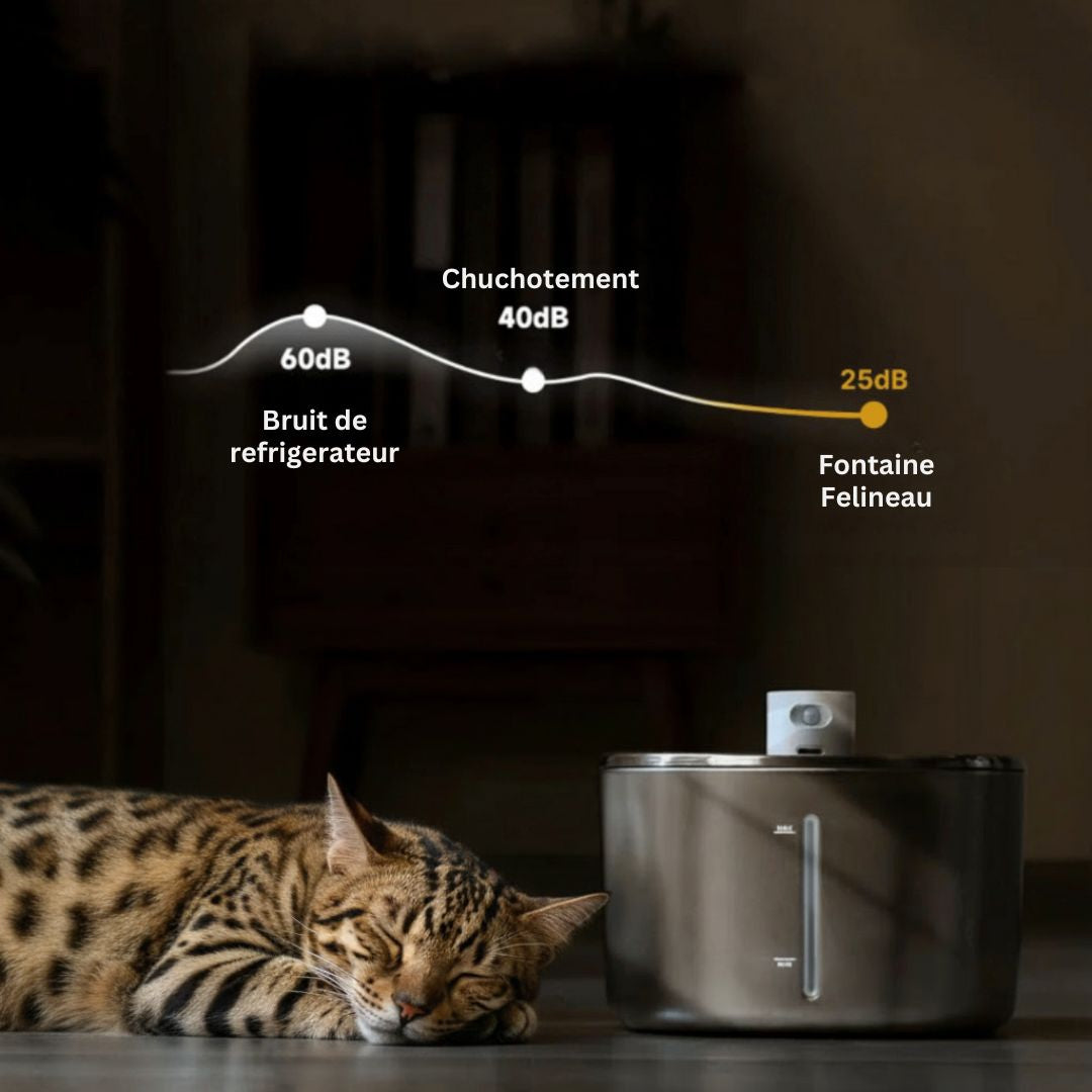 Fontaine Felineau 2.0