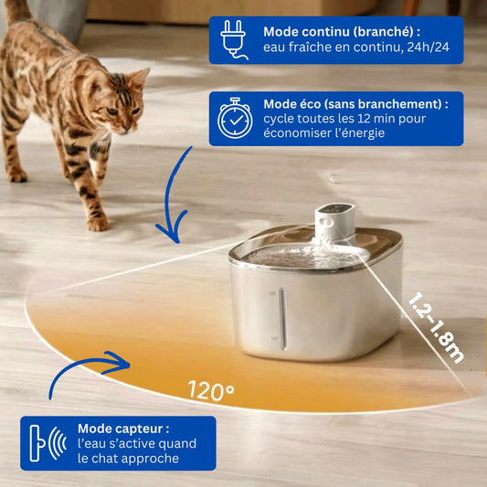 Fontaine Felineau 2.0