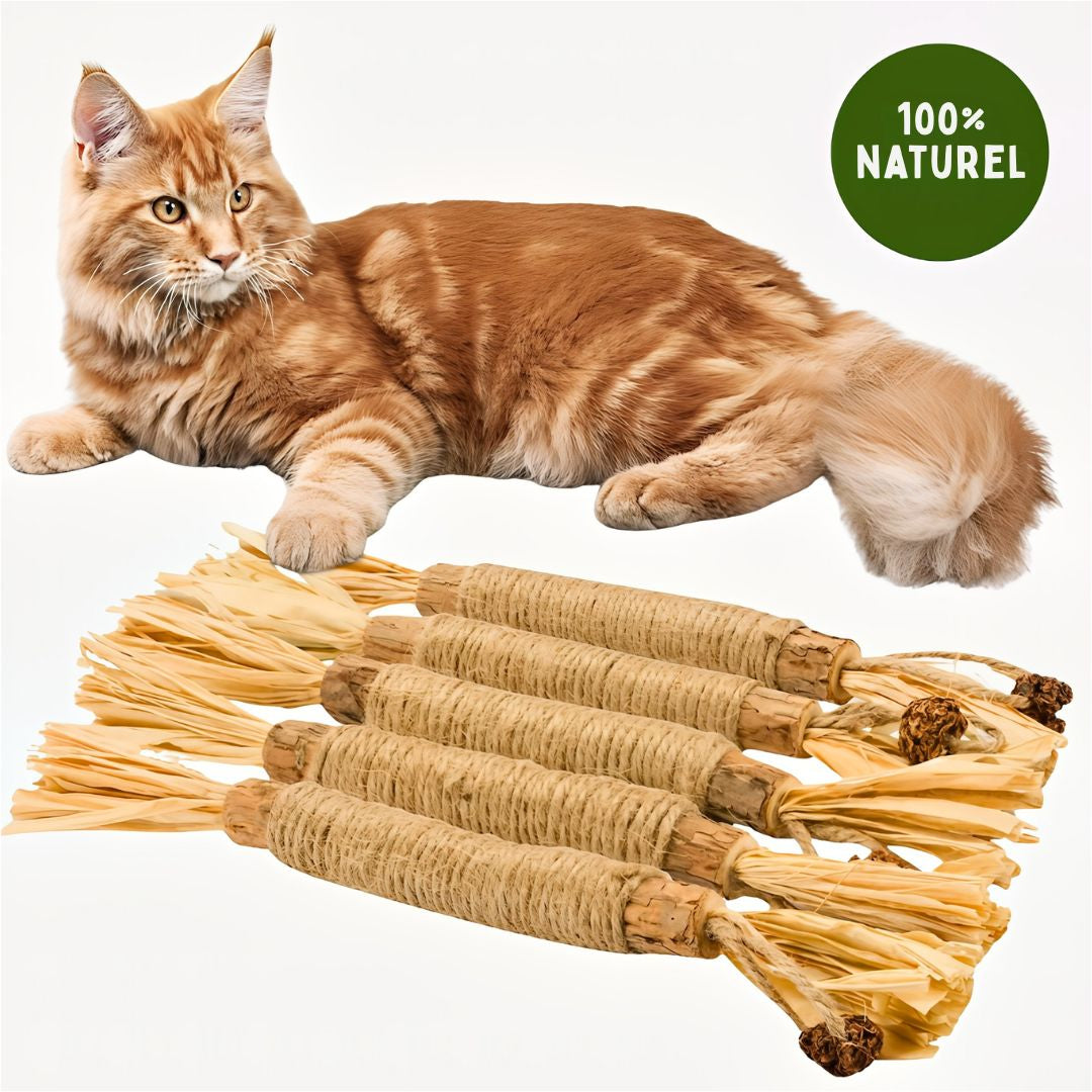 Felineau Bâtonnets à Mâcher en Silvervine pour Chat