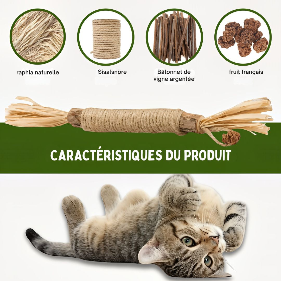 Felineau Bâtonnets à Mâcher en Silvervine pour Chat