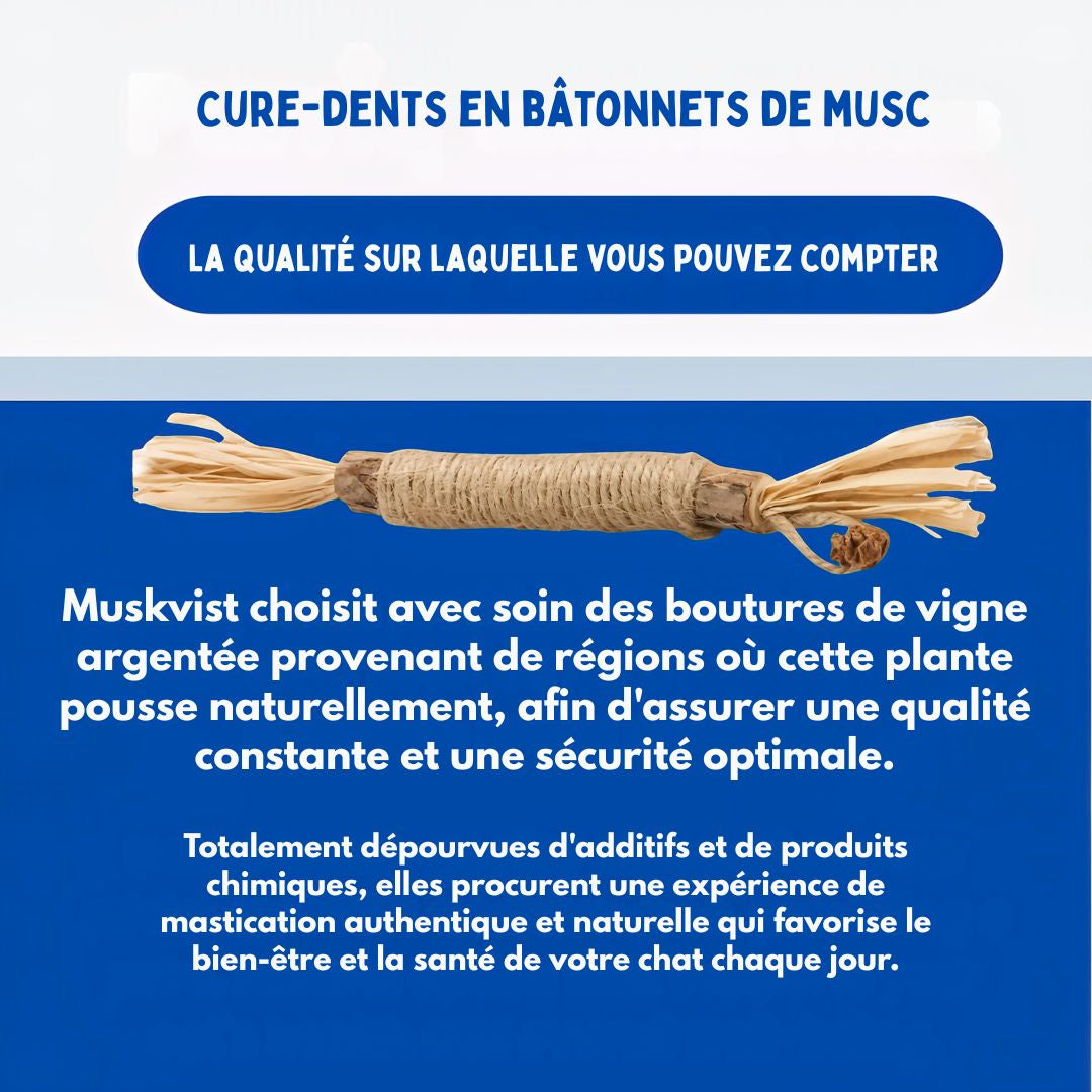 Felineau Bâtonnets à Mâcher en Silvervine pour Chat
