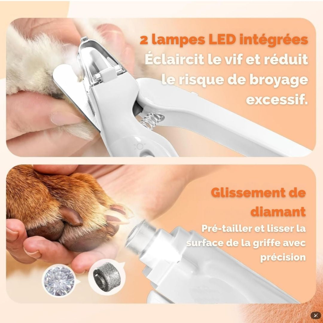 Coupe-Griffes et Lime Électrique 2-en-1 avec LED