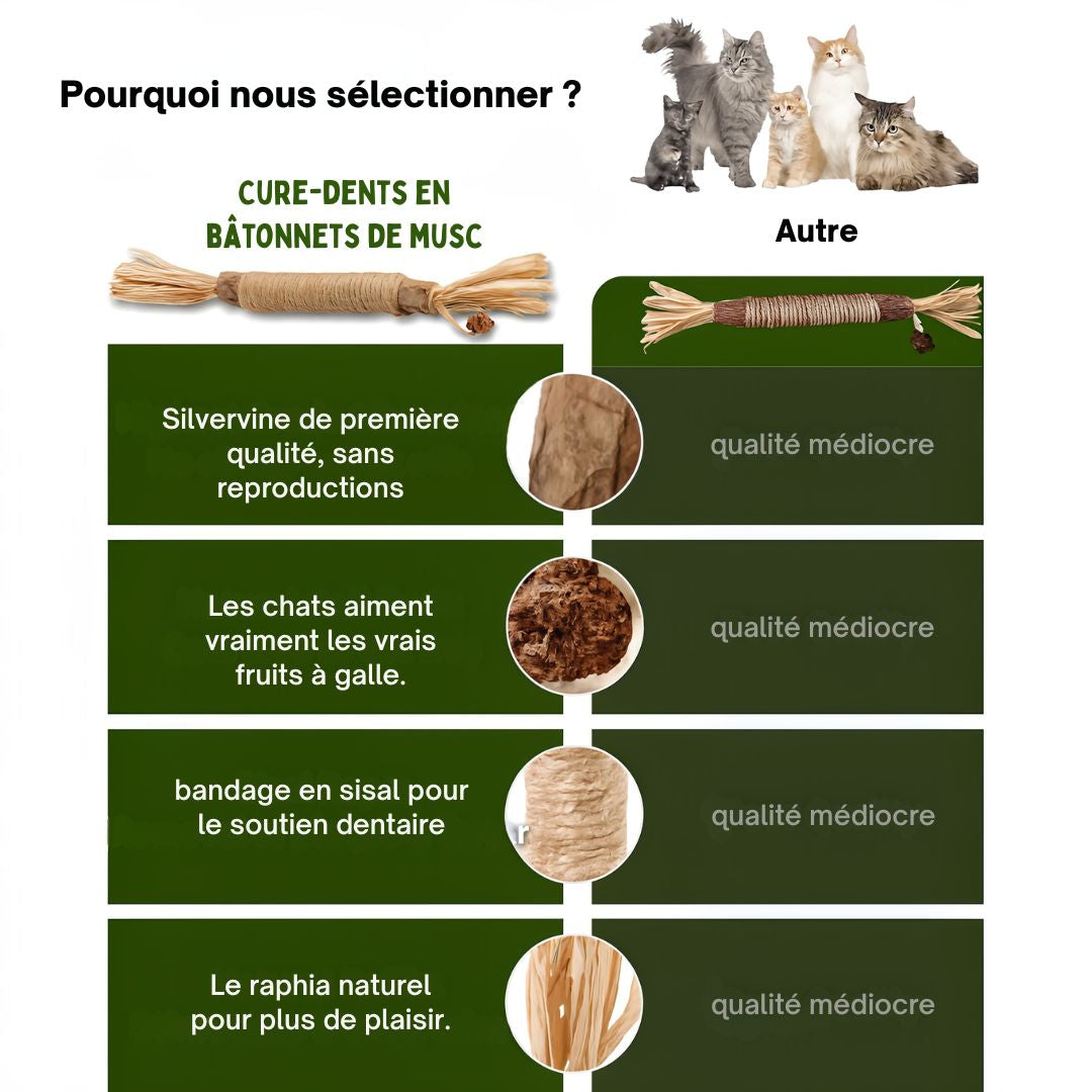Felineau Bâtonnets à Mâcher en Silvervine pour Chat
