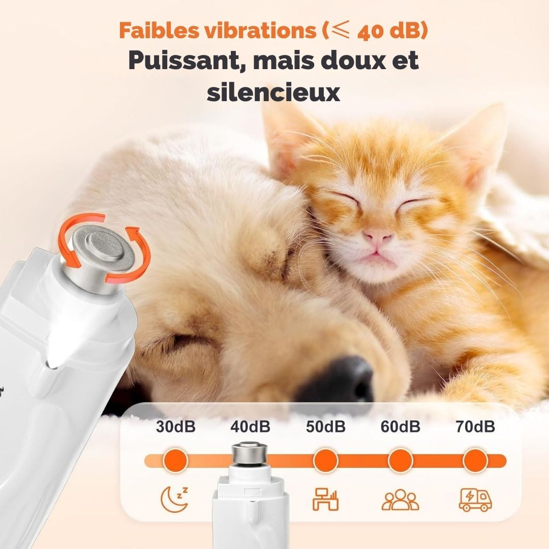 Coupe-Griffes et Lime Électrique 2-en-1 avec LED