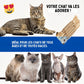 Felineau Bâtonnets à Mâcher en Silvervine pour Chat