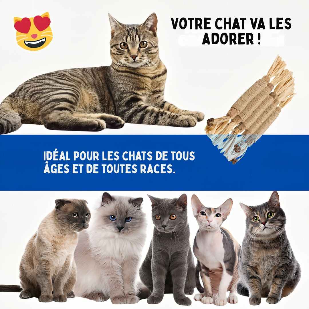 Felineau Bâtonnets à Mâcher en Silvervine pour Chat