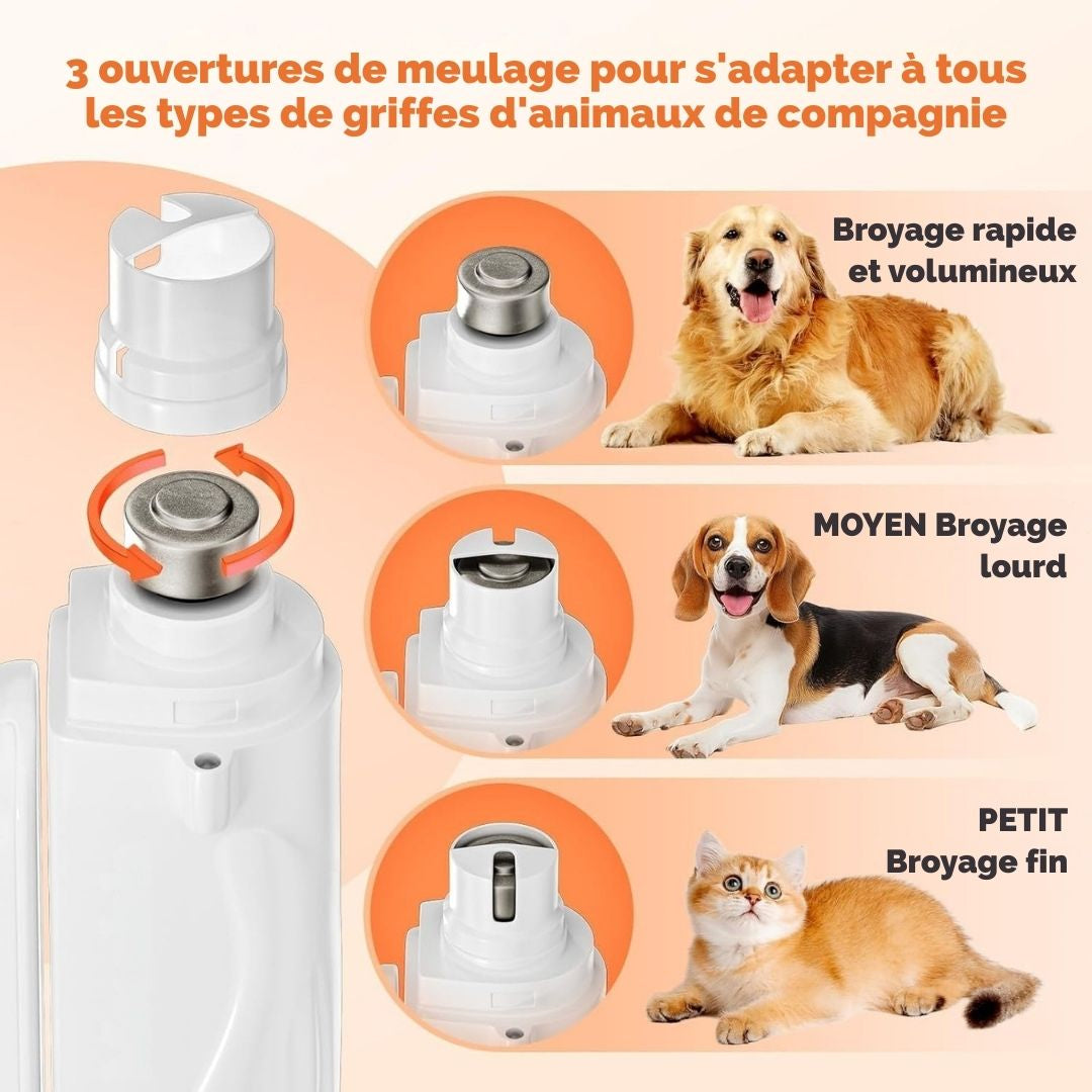 Coupe-Griffes et Lime Électrique 2-en-1 avec LED