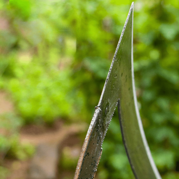 Houe de jardin en acier au manganèse avec manche bois