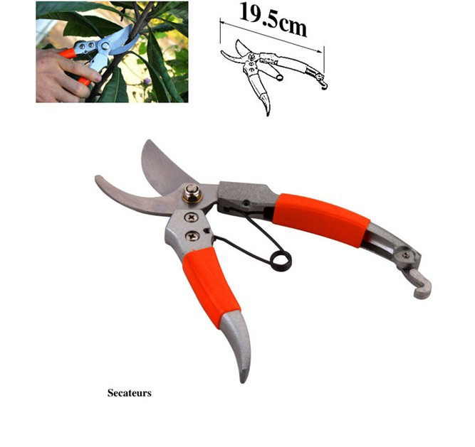 Outils de jardinage en métal avec sac de transport, 10 pièces