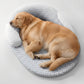 Felineau Panier Orthopédique Rafraîchissant pour Chien