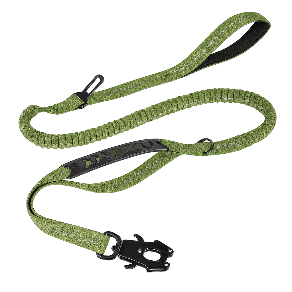 Laisse Bungee Chien - Ceinture Auto Integree - image 2