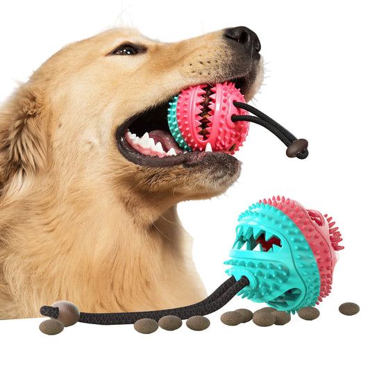 Jouet pour chien à balle distributrice et ventouse
