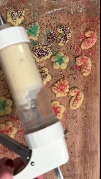 Presse à biscuits en aluminium avec 20 disques et 4 douilles