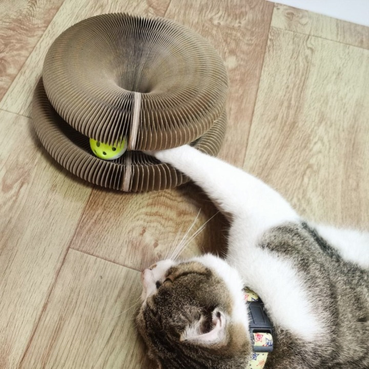Jouet et griffoir modulable pour chat avec balle