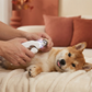 Coupe-griffes et lime électrique 2 en 1 pour animaux, rechargeable USB