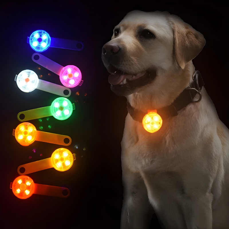 Medaille Lumineuse LED Chien Chat - Clip Securite - image 6
