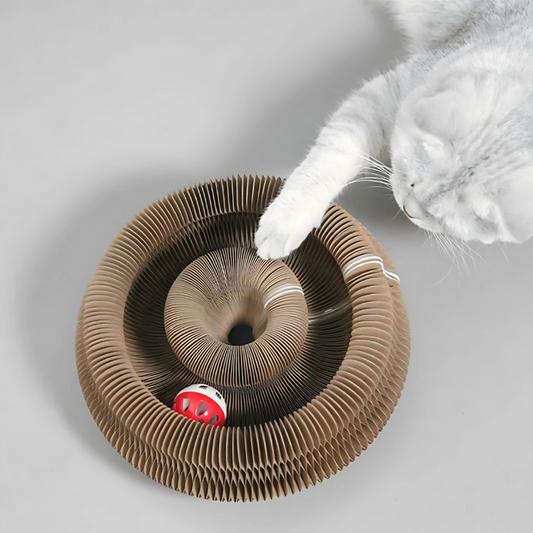 Felineau Griffoir en Carton Pliable pour Chat - Design Tourbillon