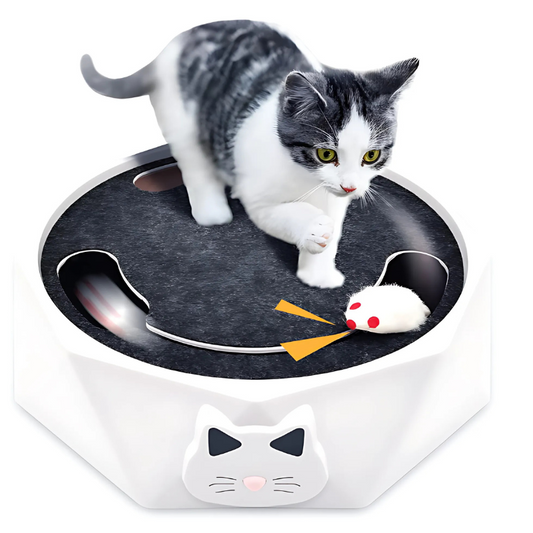 Felineau Jouet Souris Interactif Électrique - Mouvements Aléatoires pour Chat