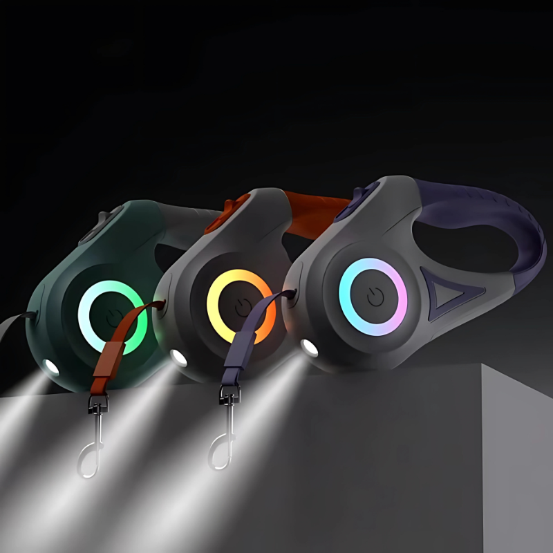 Laisse Retractable LED Chien - Visibilite Nocturne - image 4
