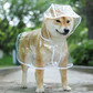 Felineau Imperméable Transparent Doux pour Petit Chien - Rose ou Bleu