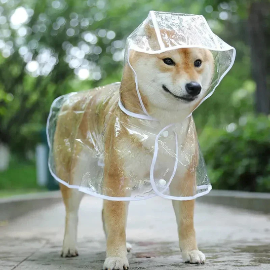 Felineau Imperméable Transparent Doux pour Petit Chien - Rose ou Bleu