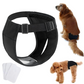 Felineau Culotte Hygiénique Réglable pour Chien - 6 Tailles