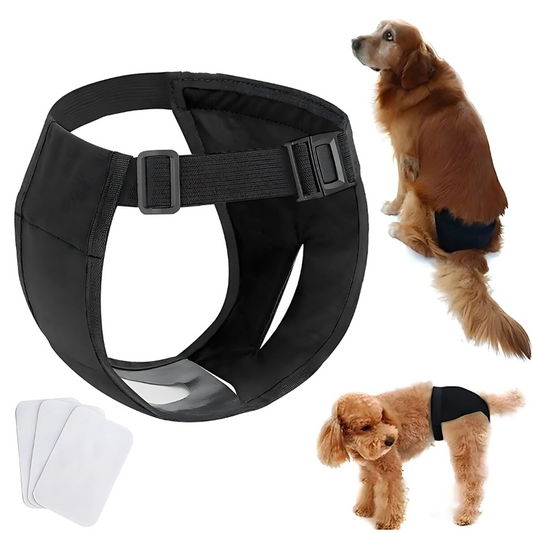 Felineau Culotte Hygiénique Réglable pour Chien - 6 Tailles
