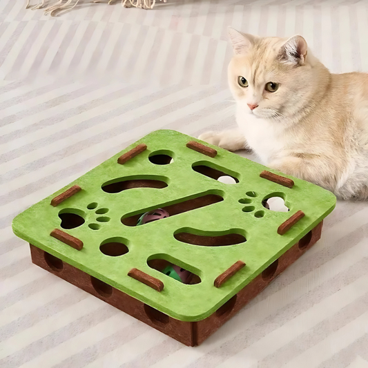 Felineau Boîte de Jeu Interactive en Feutre pour Chat - 2 Formes