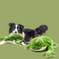 Jouet Grenouille Chien - Peluche Couineur x2 - image 2