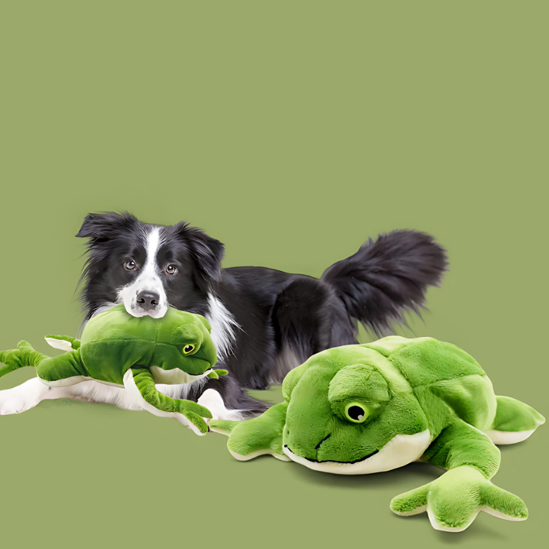 Jouet Grenouille Chien - Peluche Couineur x2 - image 2