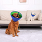 Felineau Collerette Confort Souple Douce - Cône Protection Post-Opératoire
