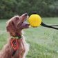 Felineau Balle sur Corde pour Chien - Jouet de Lancer & Traction