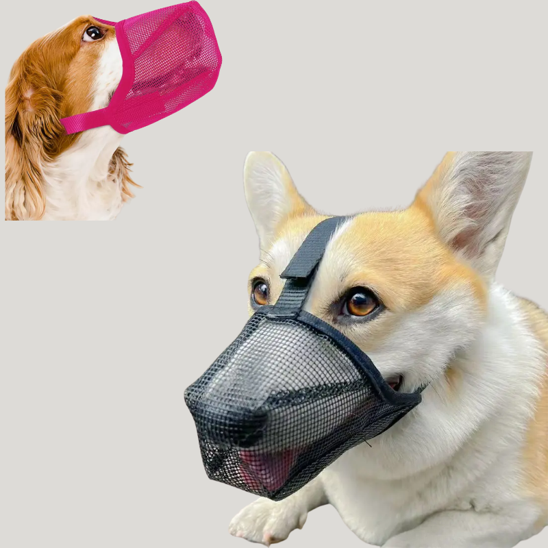 Museliere Chien Respirante - Ajustable Anti Ingestion - image 4