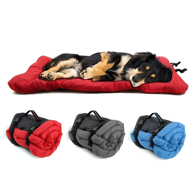 Felineau Tente Lit Voyage Pliable Imperméable - Lit Extérieur Nomade