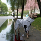 Felineau Manteau Imperméable Réfléchissant pour Grand Chien - 7 Tailles