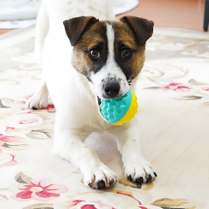 Felineau Balle Rebondissante Couineuse - Jouet Lancer Énergie Canine